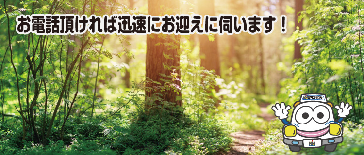 多気町でタクシーをお探しの方は是非ご連絡ください！多気町以外へも迅速にお迎えに伺います。お電話頂ければすぐにお迎えに伺います！